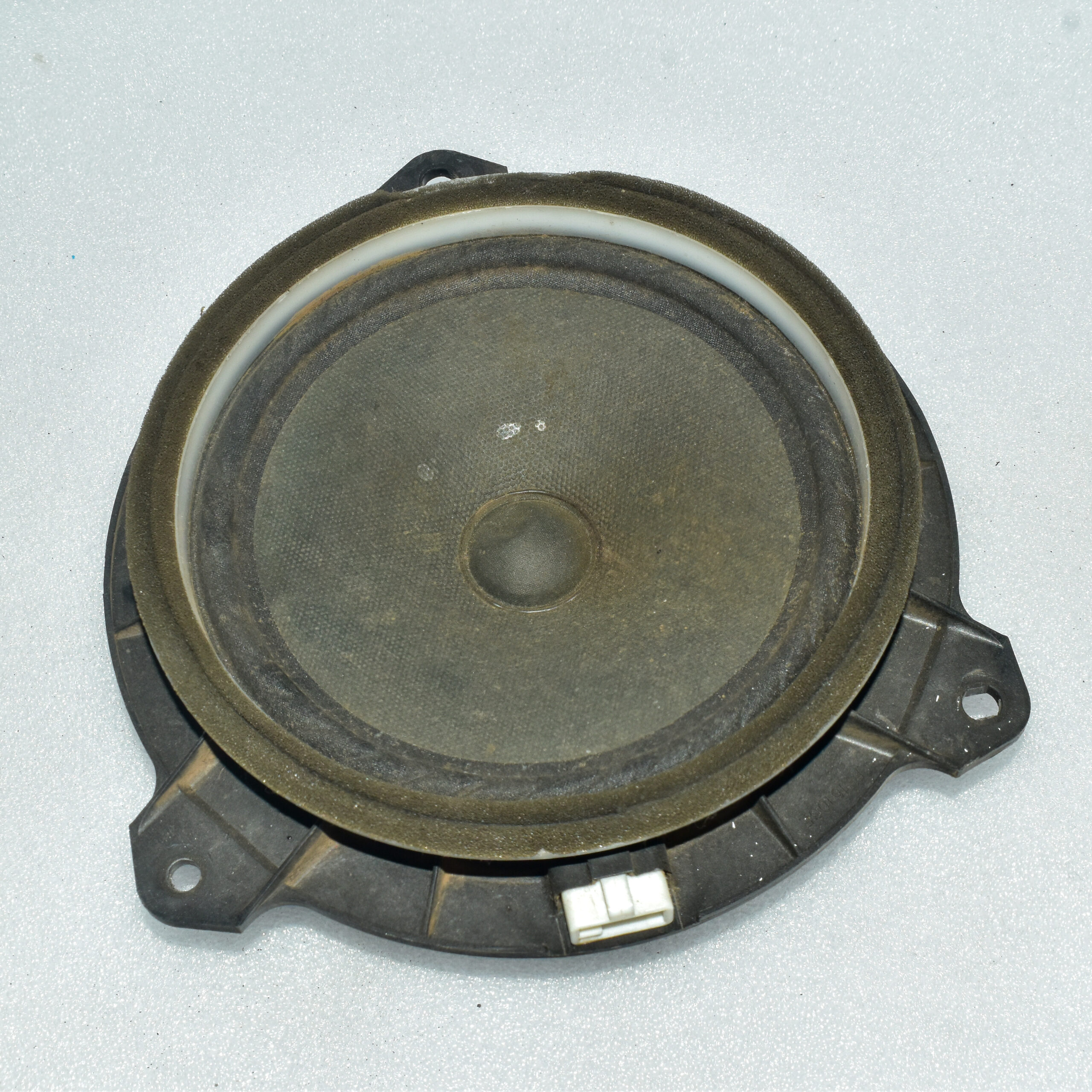 SYK_0448-scaled-1.jpg